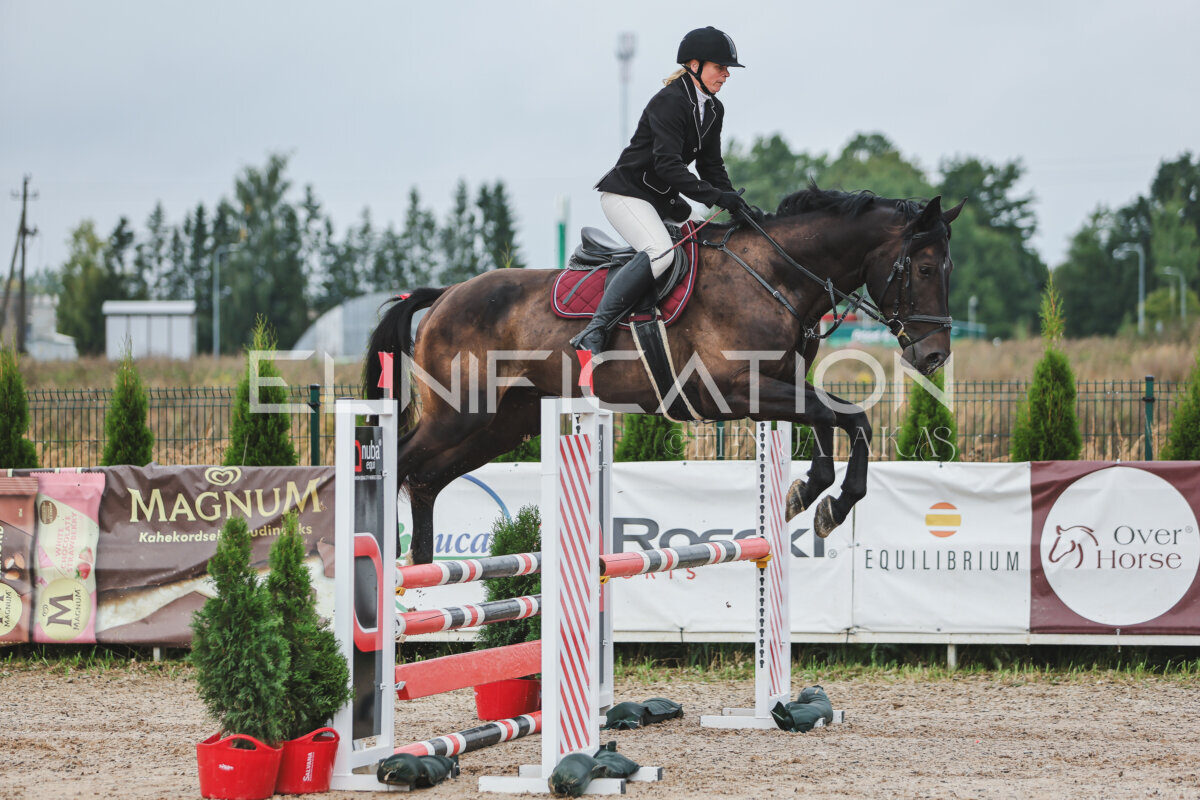 NHTS_2026_11_100cm_015