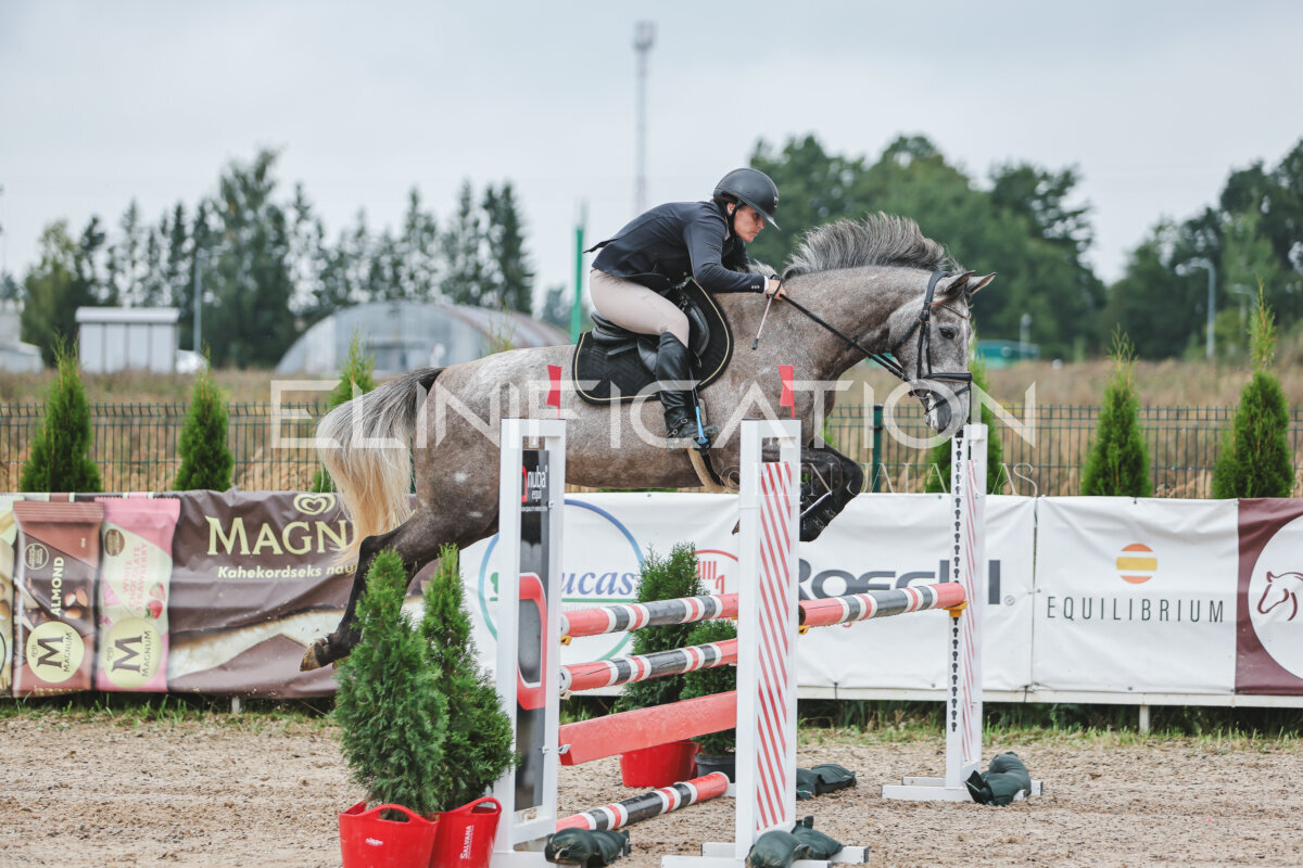 NHTS_2026_11_100cm_081