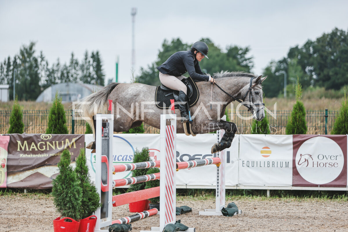 NHTS_2026_11_100cm_082
