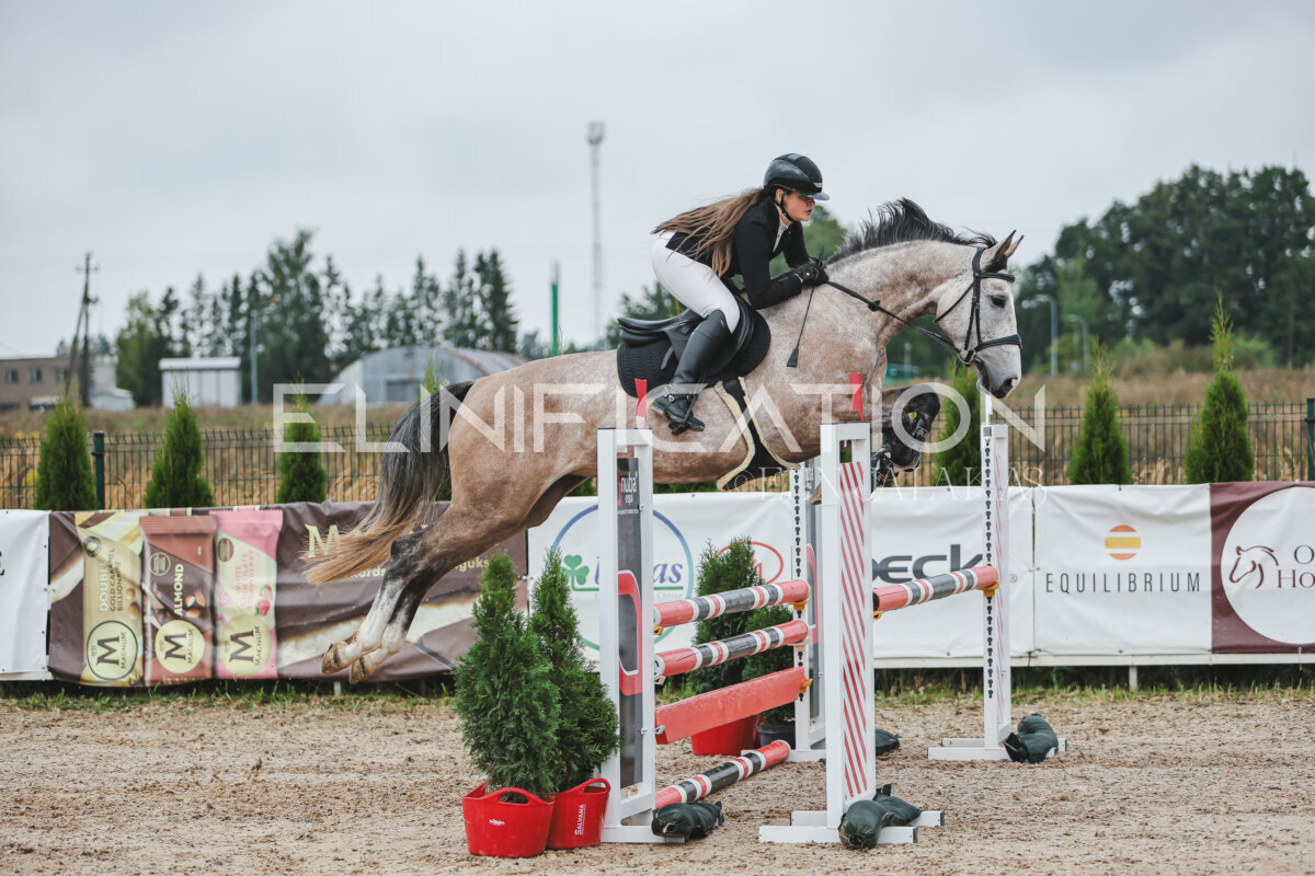 NHTS_2026_11_100cm_096