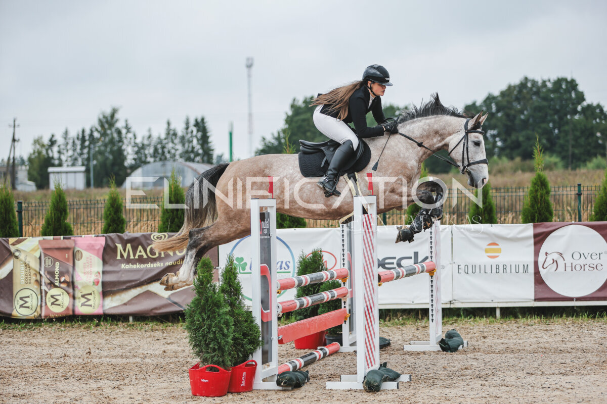 NHTS_2026_11_100cm_097