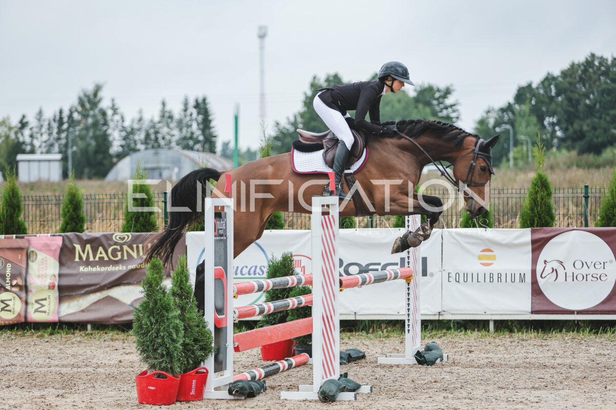 NHTS_2026_11_100cm_119