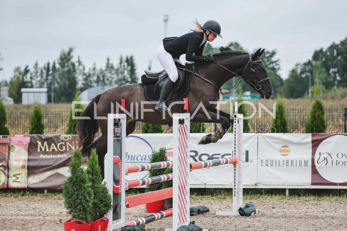 NHTS_2026_11_100cm_131
