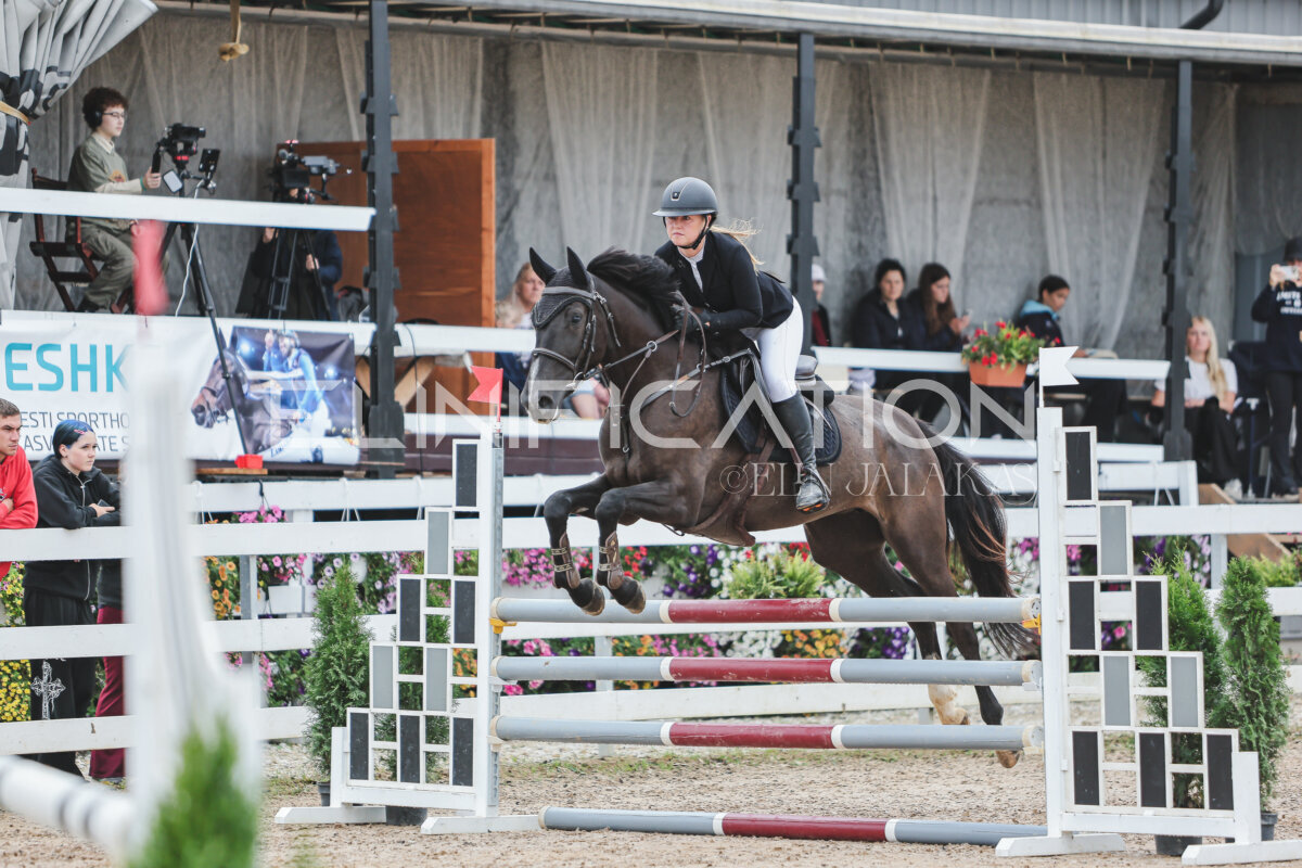 NHTS_2026_11_100cm_133