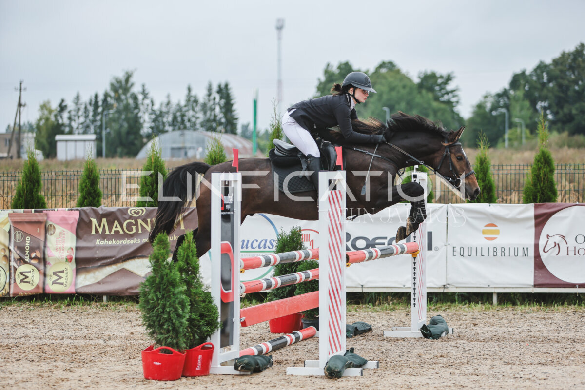 NHTS_2026_11_100cm_141