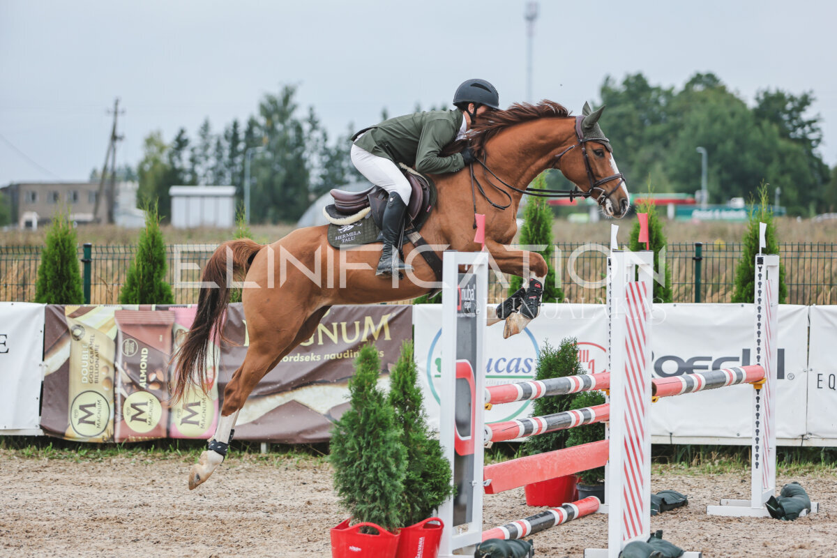 NHTS_2026_11_100cm_157