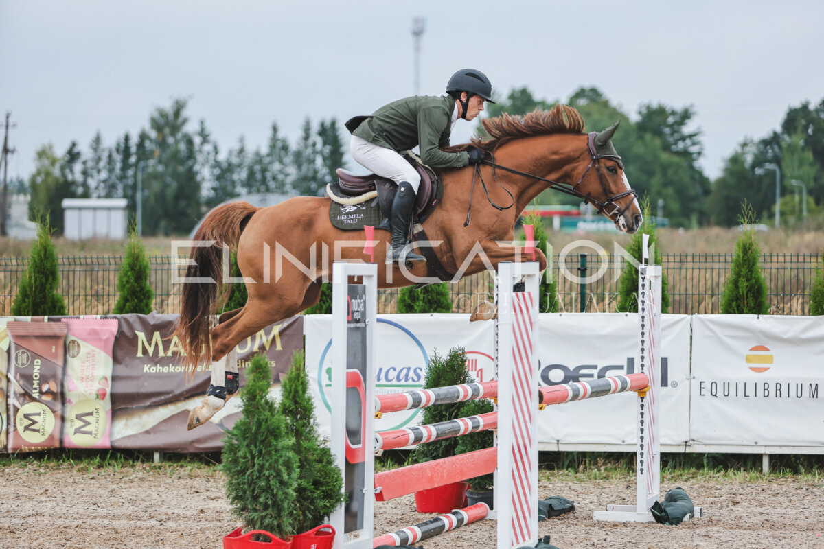 NHTS_2026_11_100cm_159
