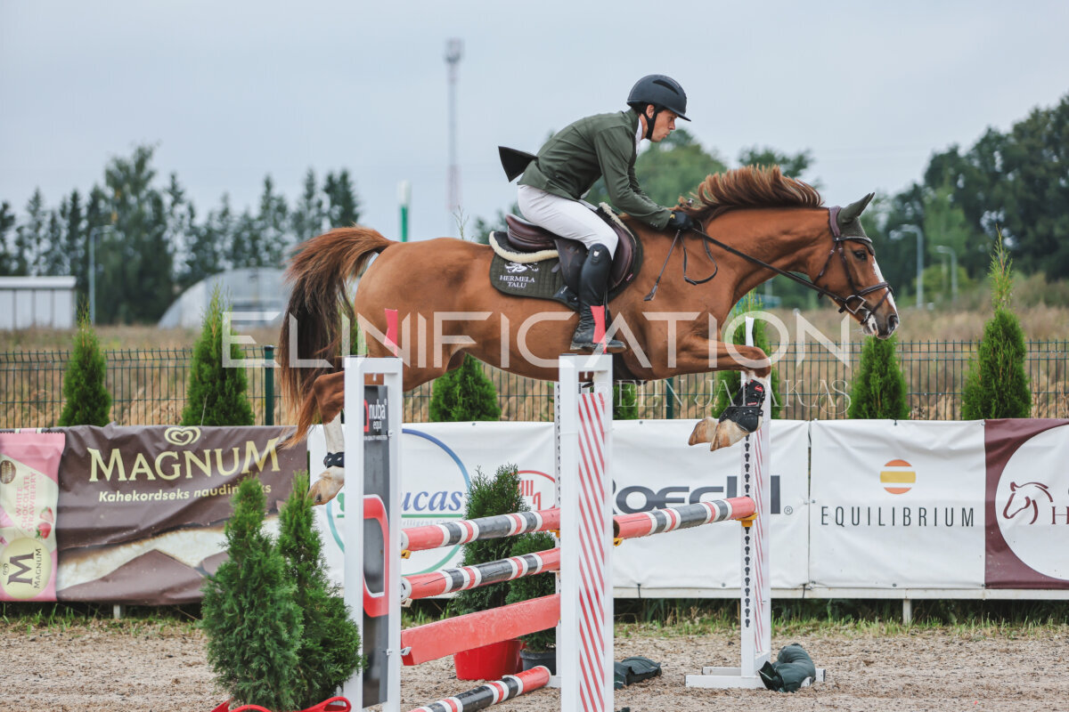 NHTS_2026_11_100cm_161