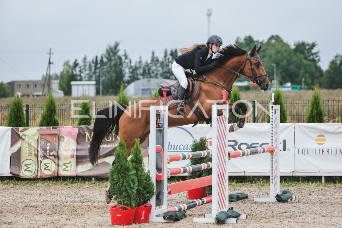 NHTS_2026_11_100cm_176