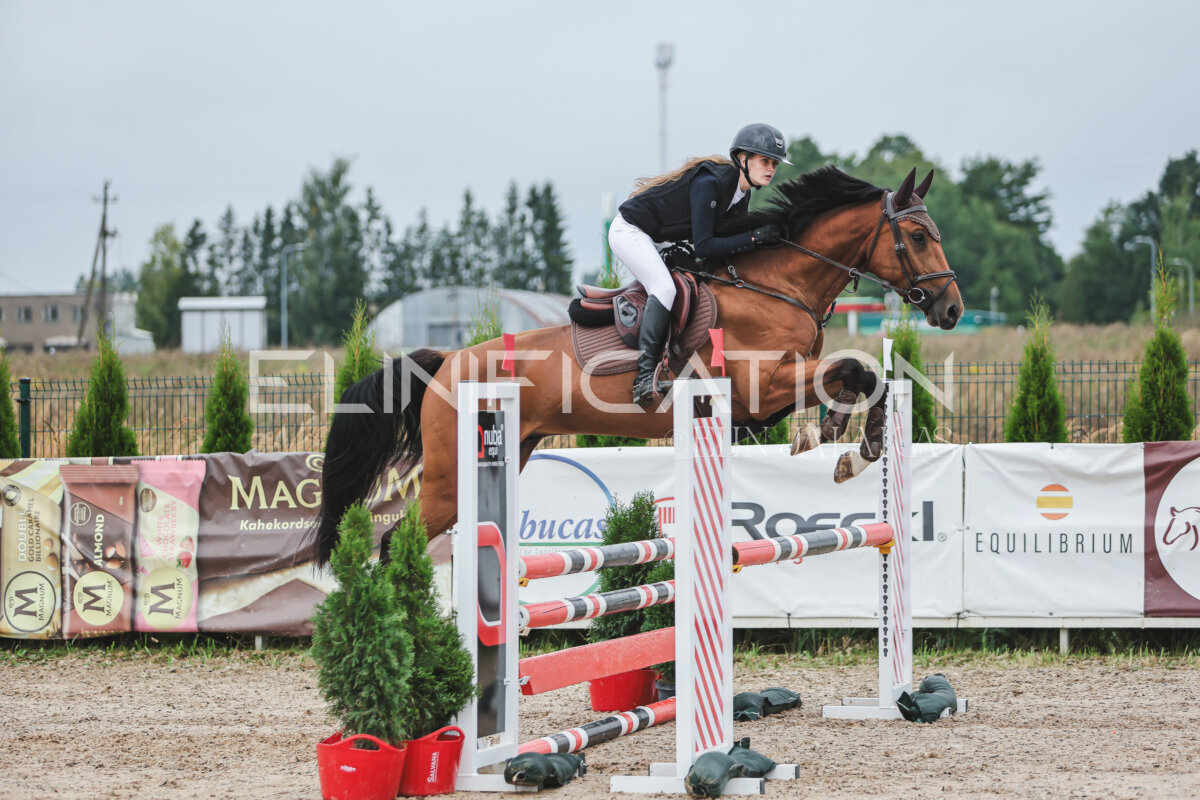 NHTS_2026_11_100cm_177