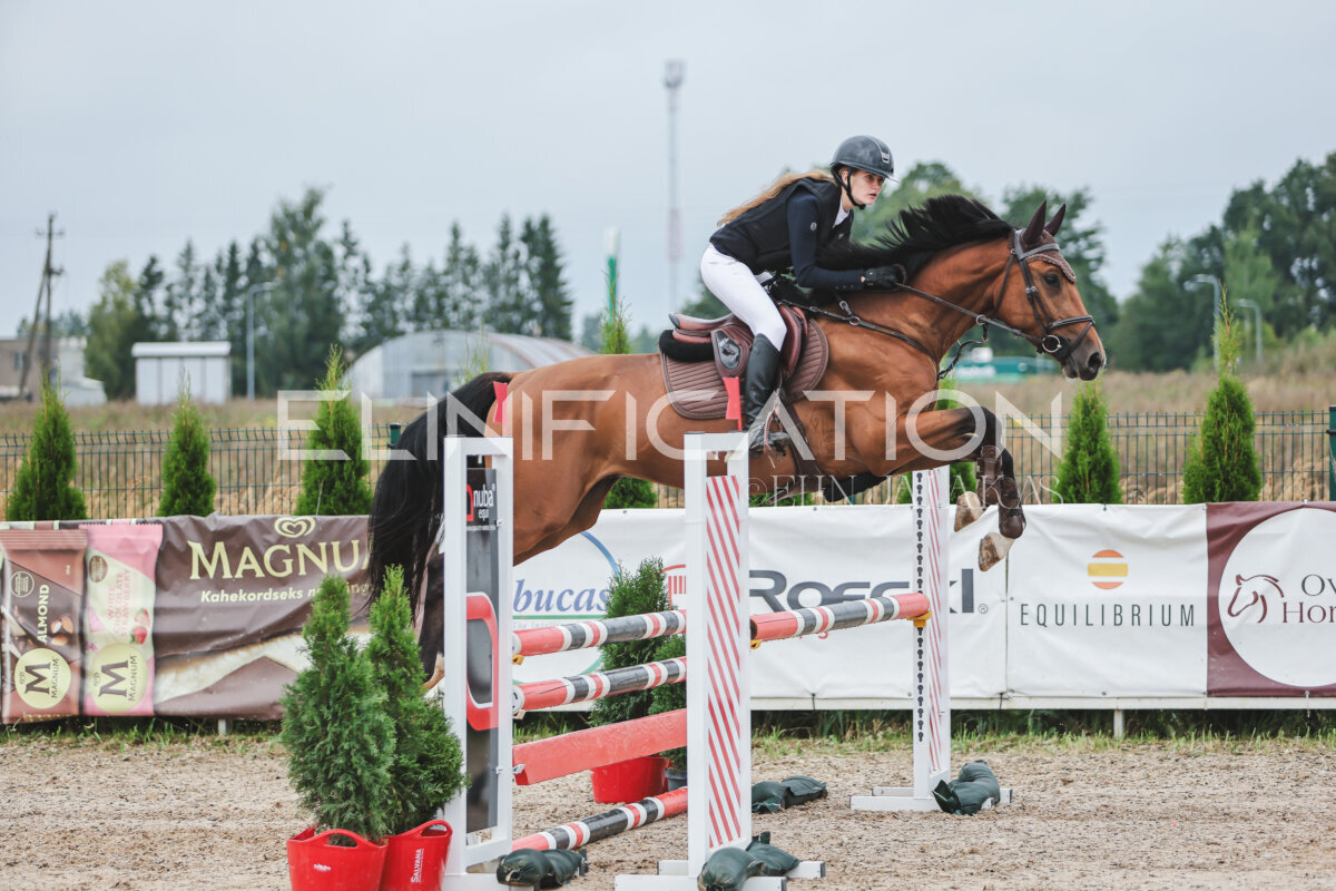 NHTS_2026_11_100cm_178