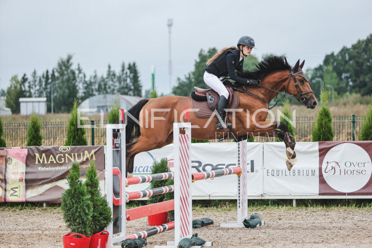 NHTS_2026_11_100cm_179