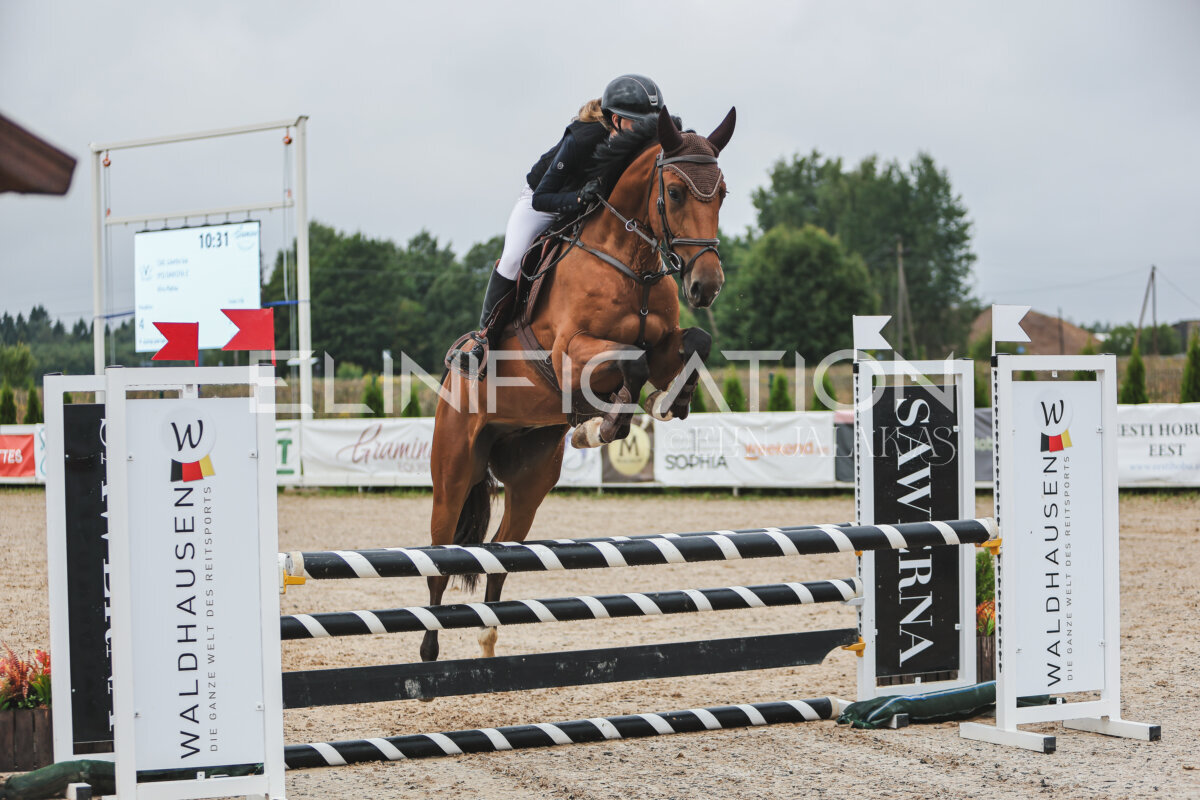 NHTS_2026_11_100cm_186