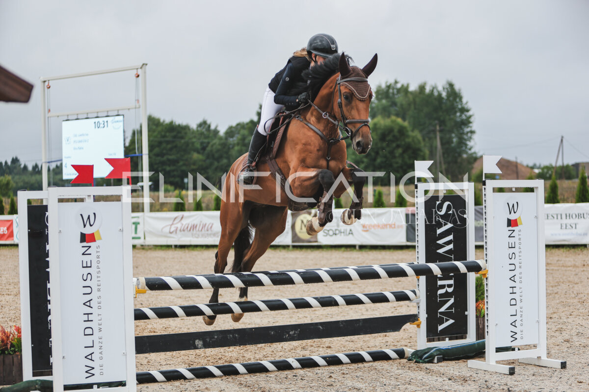 NHTS_2026_11_100cm_187
