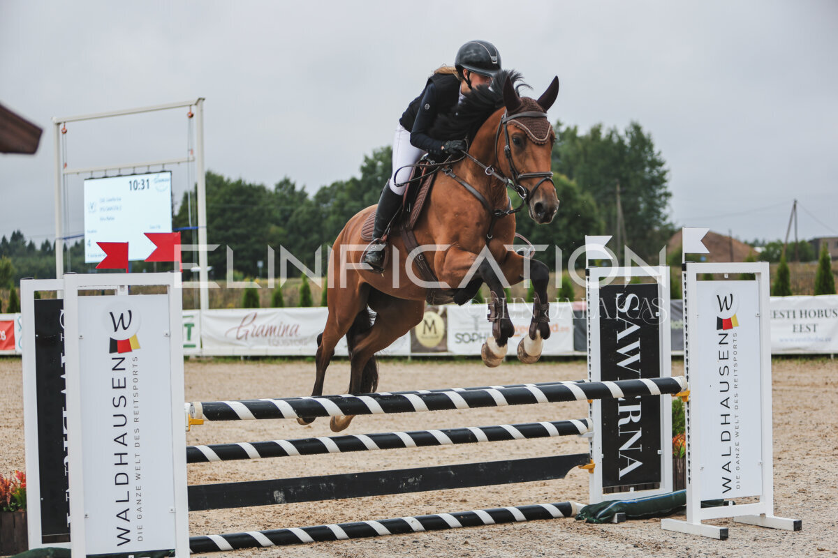 NHTS_2026_11_100cm_188