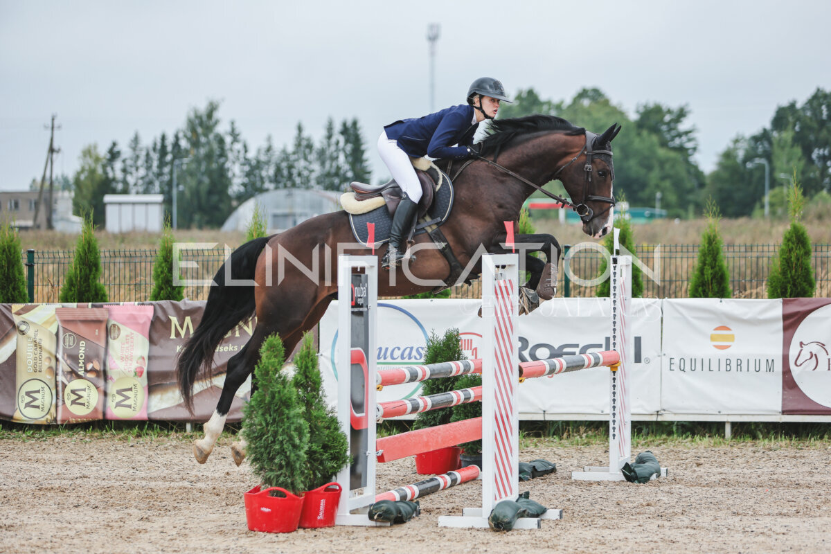 NHTS_2026_11_100cm_192
