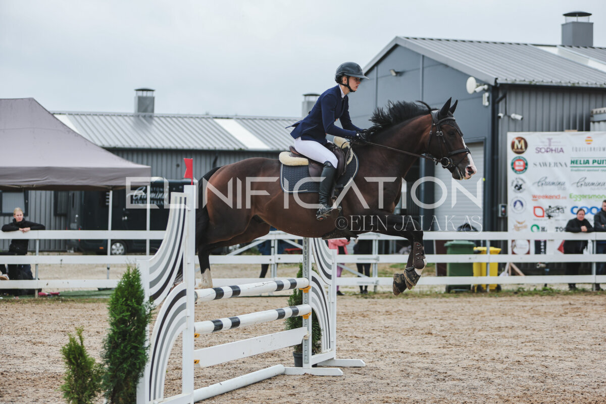 NHTS_2026_11_100cm_199