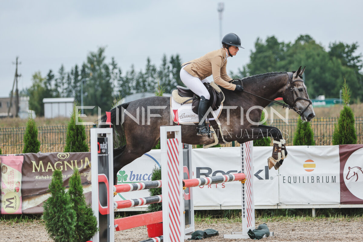 NHTS_2026_11_100cm_210
