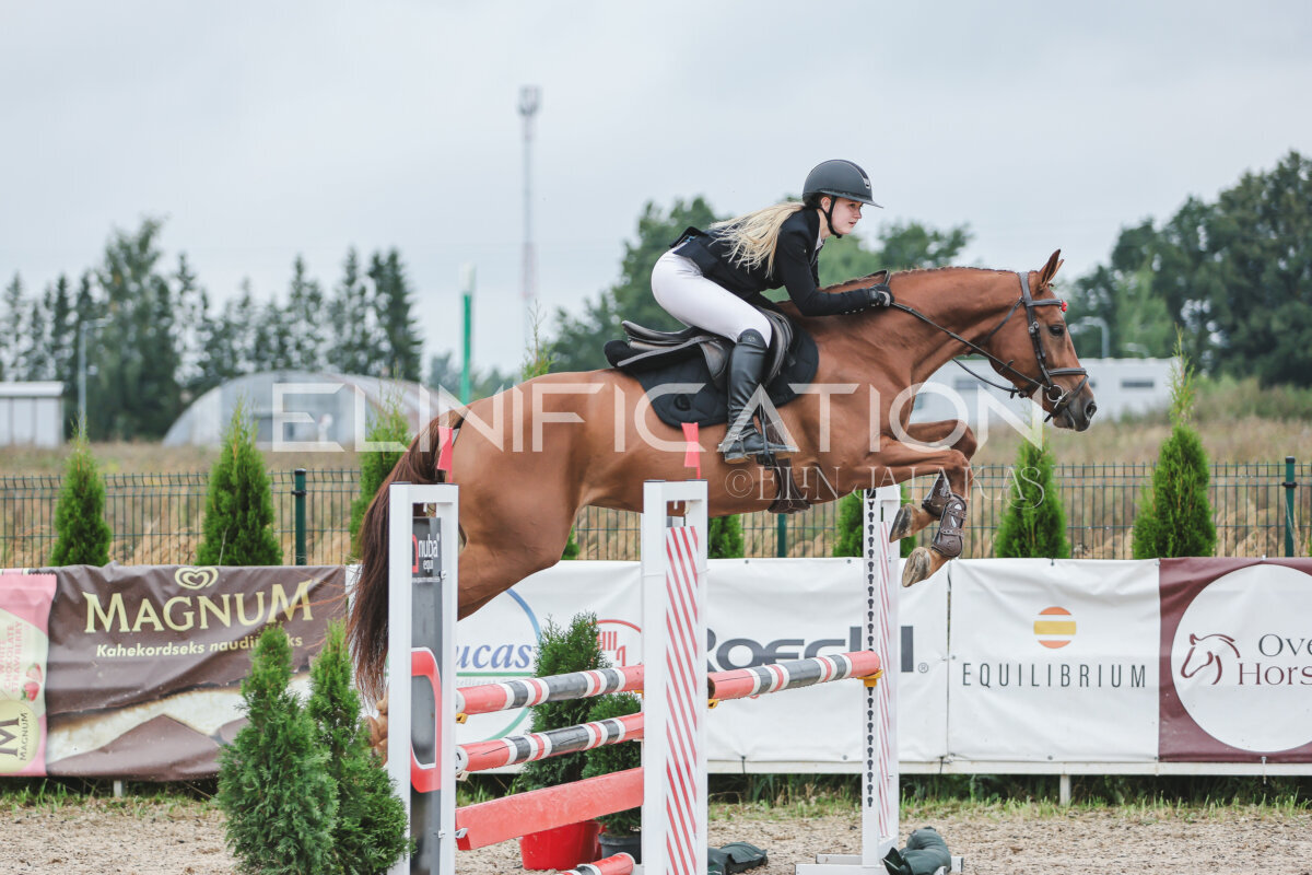 NHTS_2026_11_100cm_218
