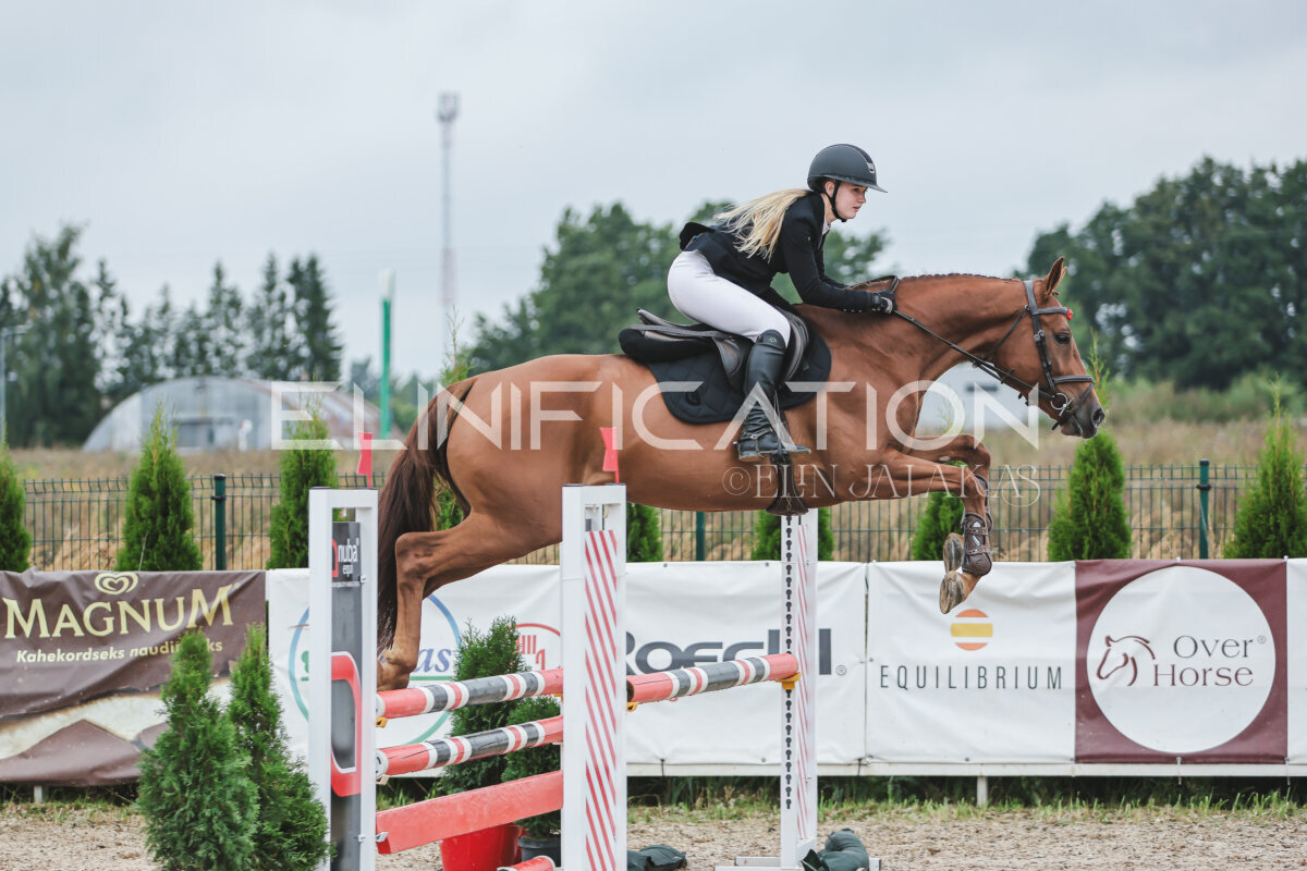 NHTS_2026_11_100cm_219