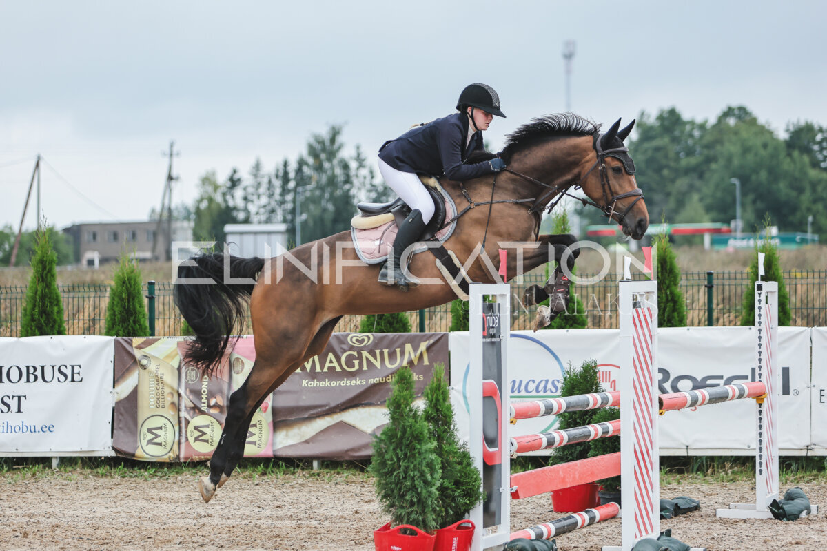 NHTS_2026_11_100cm_237