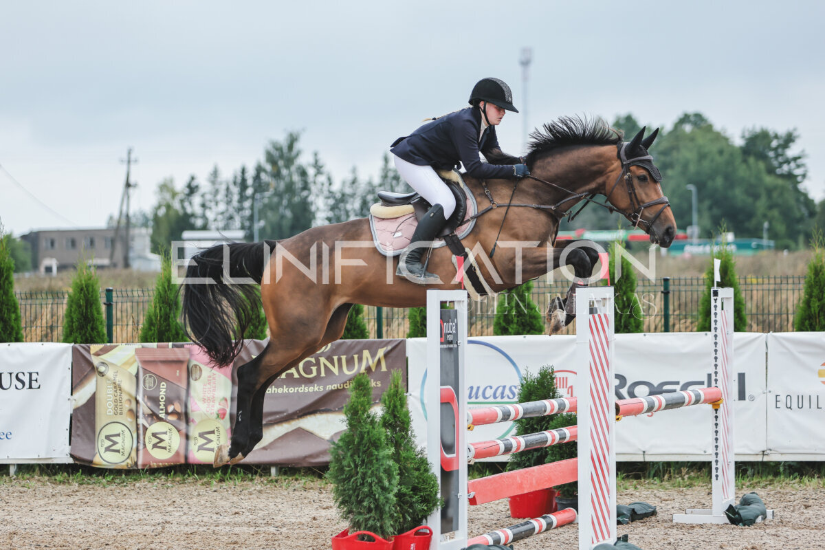 NHTS_2026_11_100cm_238
