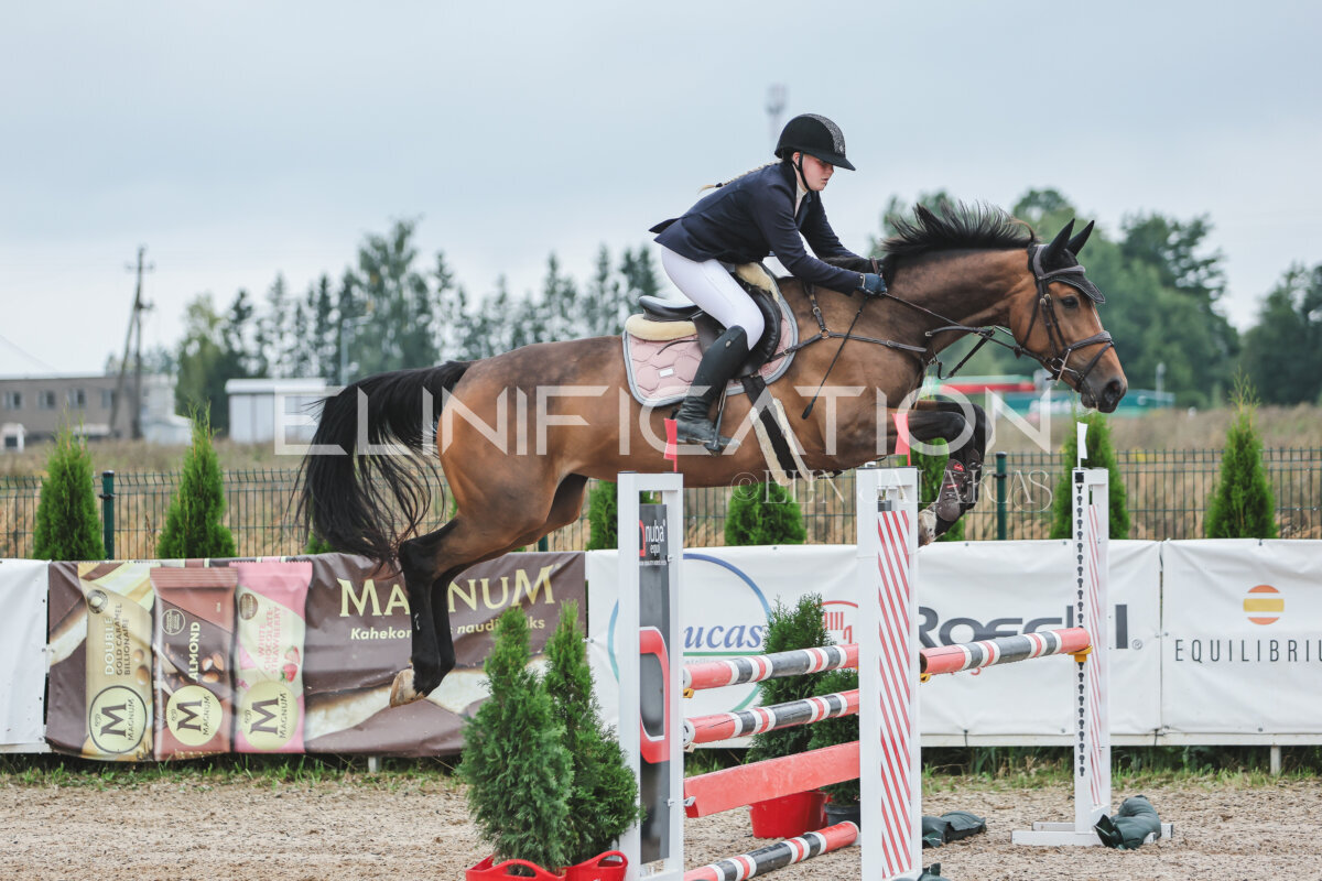 NHTS_2026_11_100cm_239