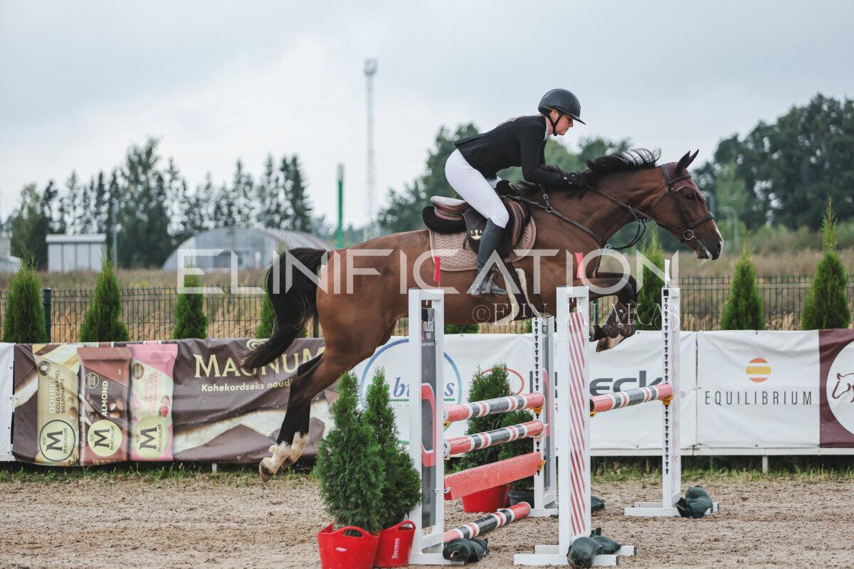 NHTS_2026_11_100cm_258
