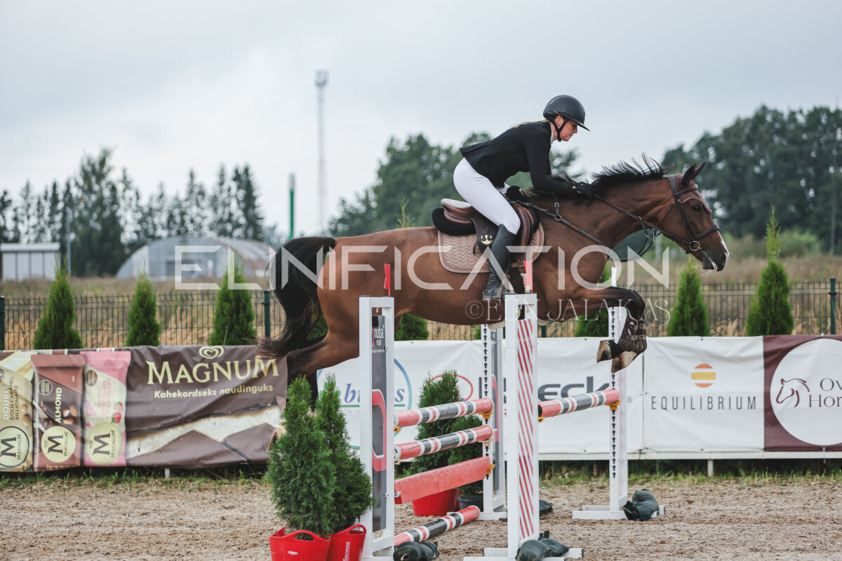 NHTS_2026_11_100cm_259