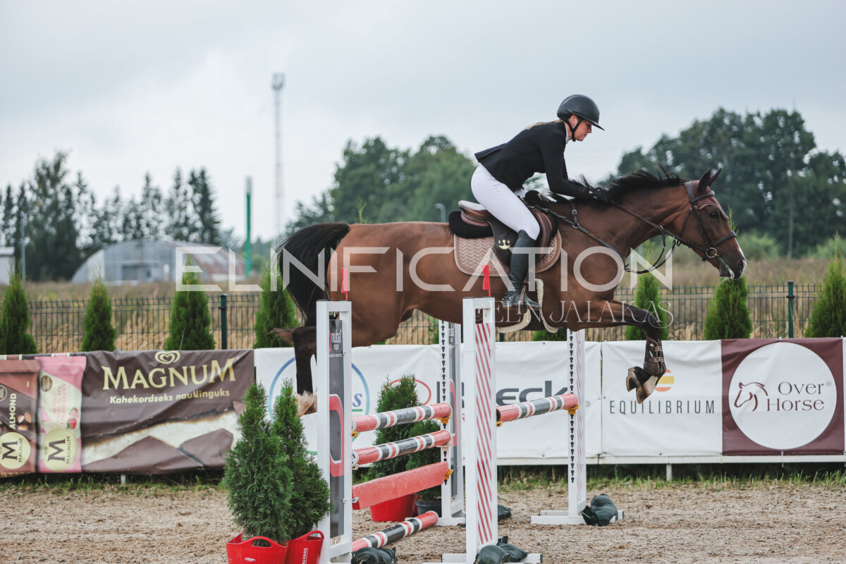 NHTS_2026_11_100cm_260
