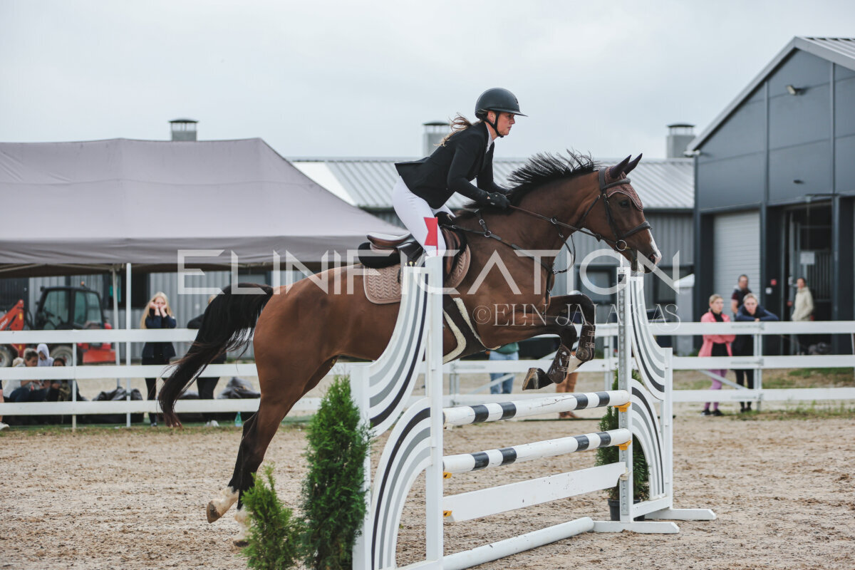 NHTS_2026_11_100cm_261