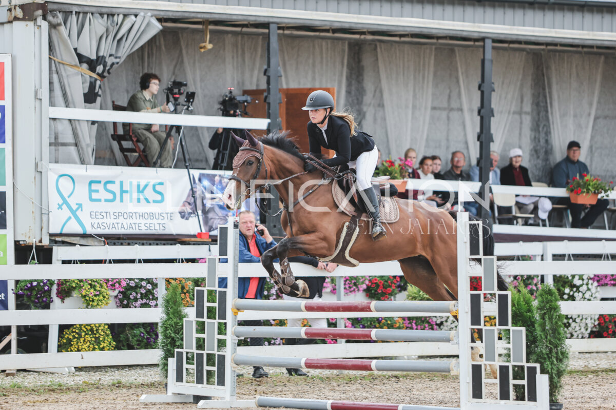 NHTS_2026_11_100cm_265