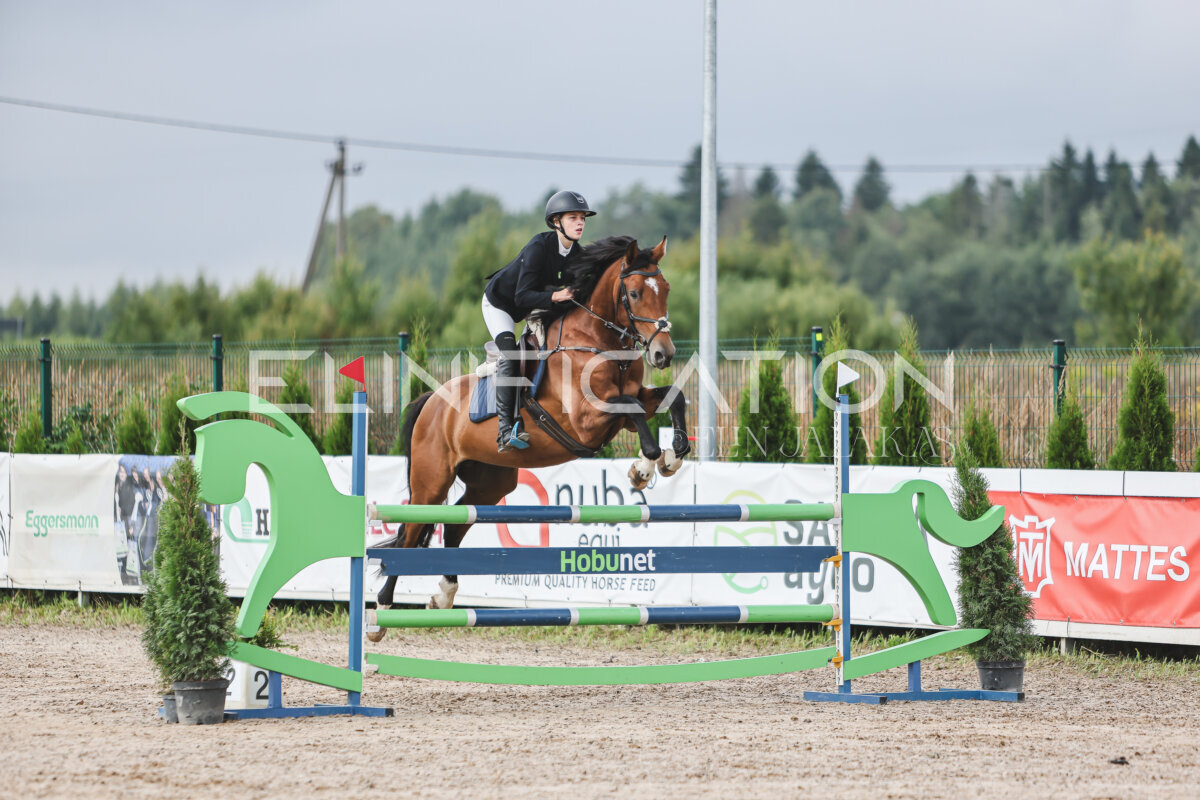 NHTS_2026_12_115cm_001