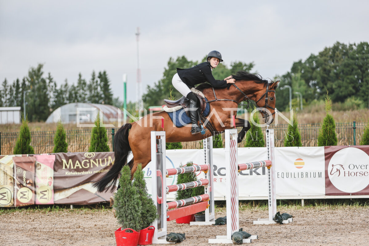 NHTS_2026_12_115cm_005