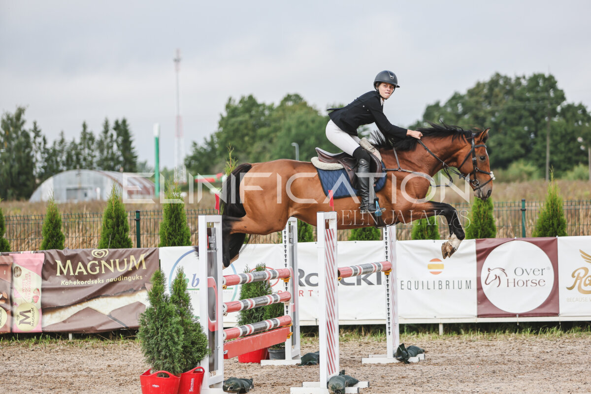 NHTS_2026_12_115cm_008