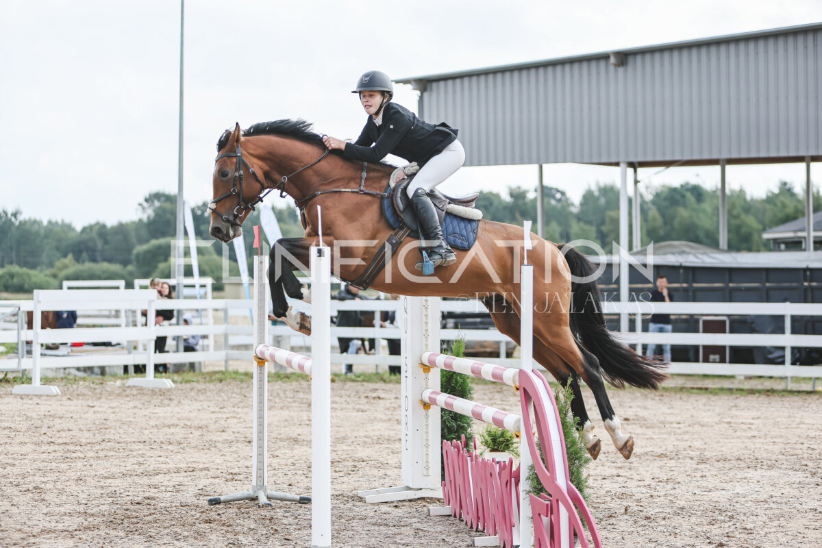 NHTS_2026_12_115cm_010