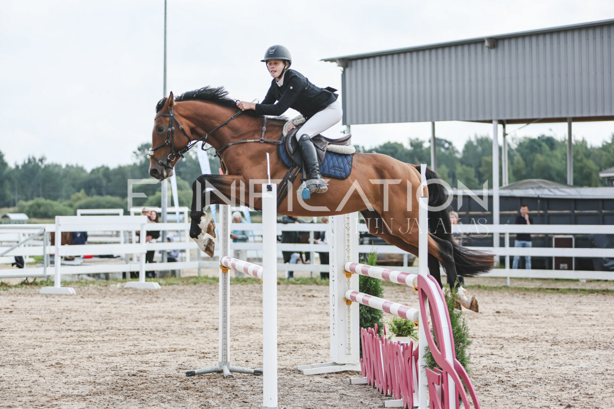 NHTS_2026_12_115cm_011