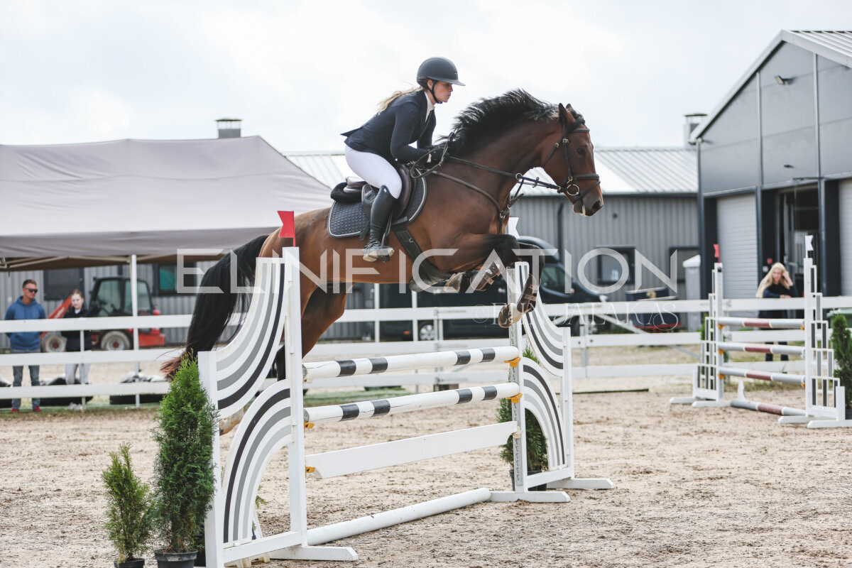 NHTS_2026_12_115cm_016
