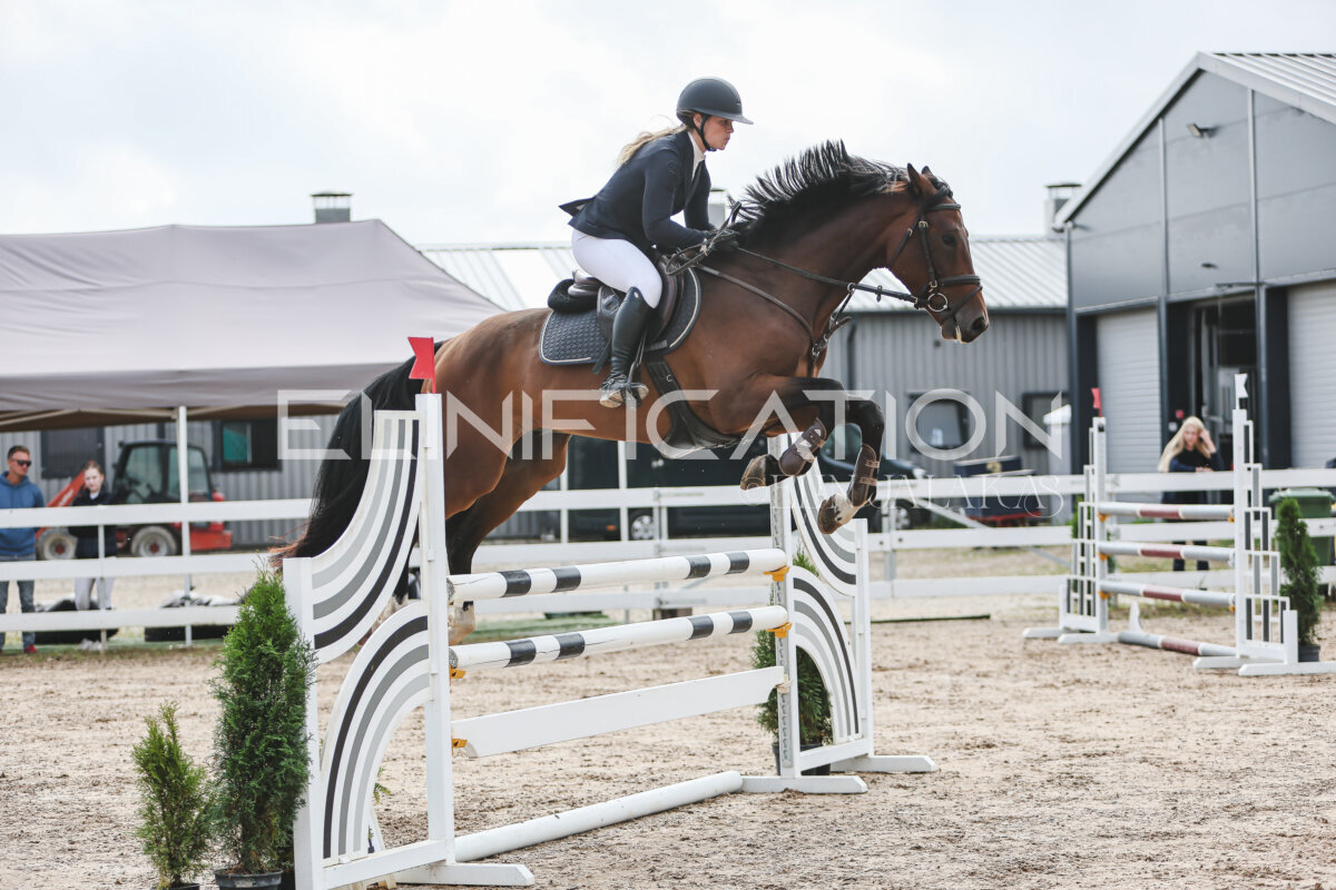 NHTS_2026_12_115cm_017