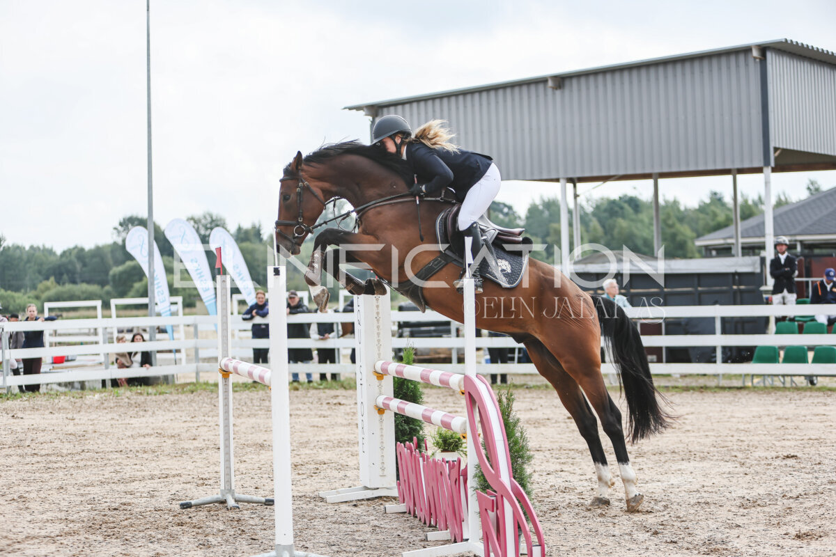 NHTS_2026_12_115cm_018