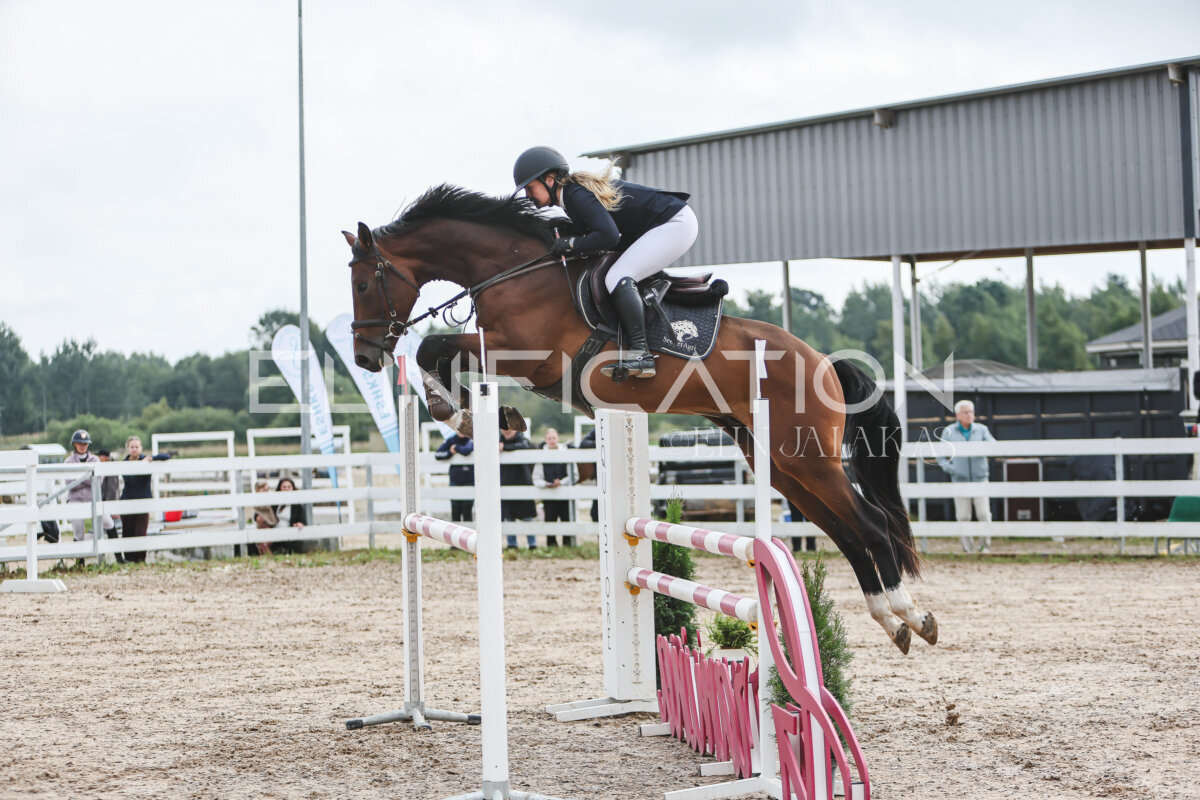 NHTS_2026_12_115cm_020