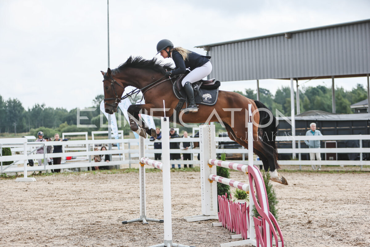 NHTS_2026_12_115cm_021