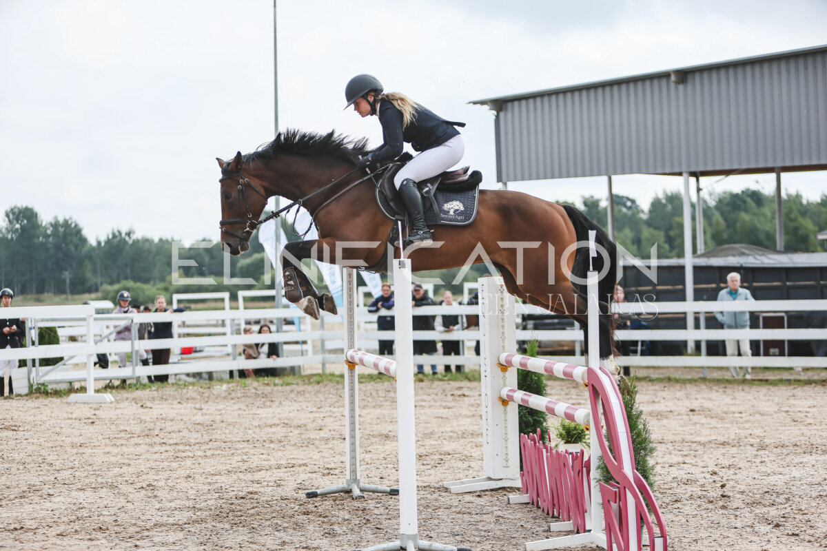 NHTS_2026_12_115cm_022