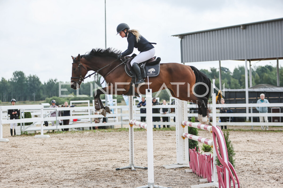 NHTS_2026_12_115cm_023