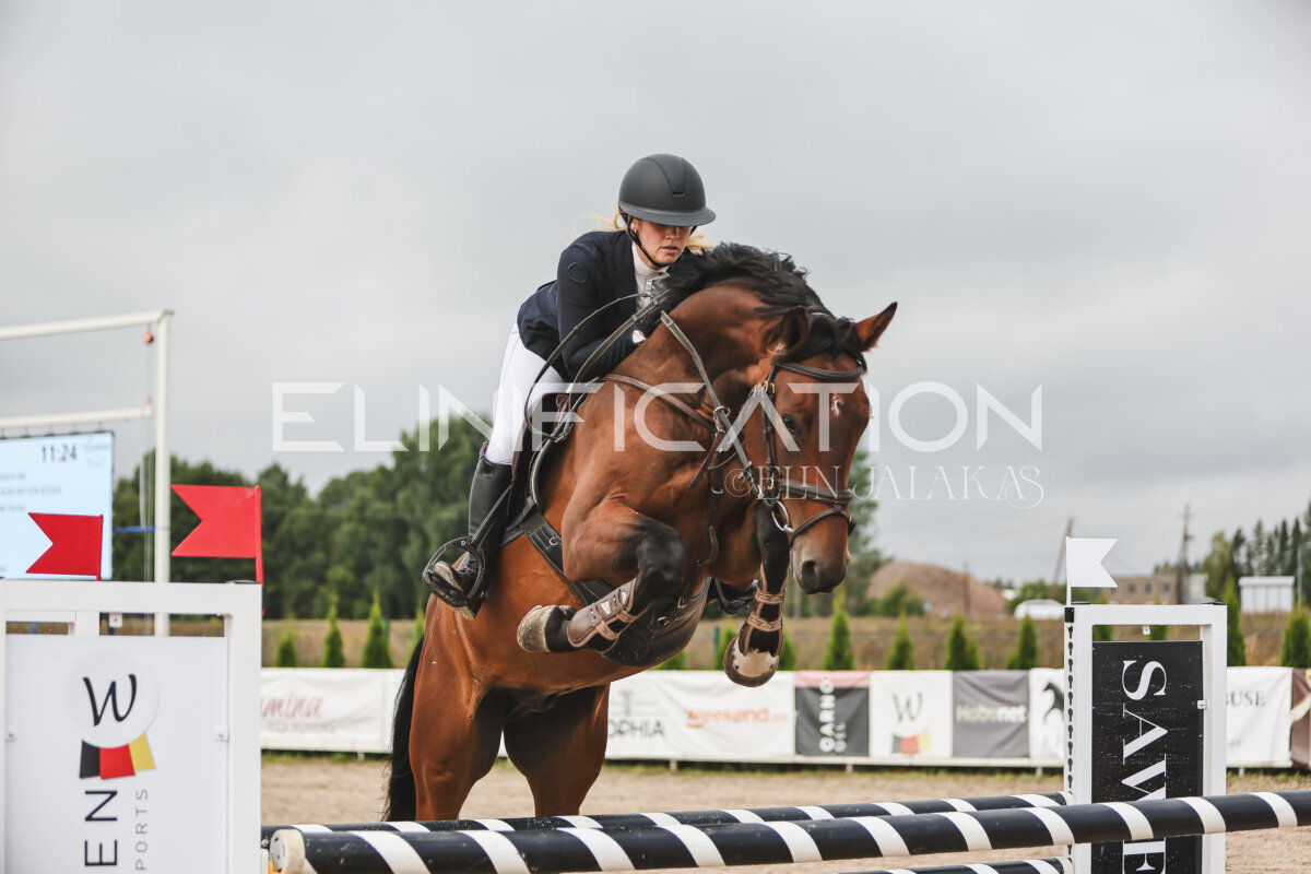 NHTS_2026_12_115cm_024