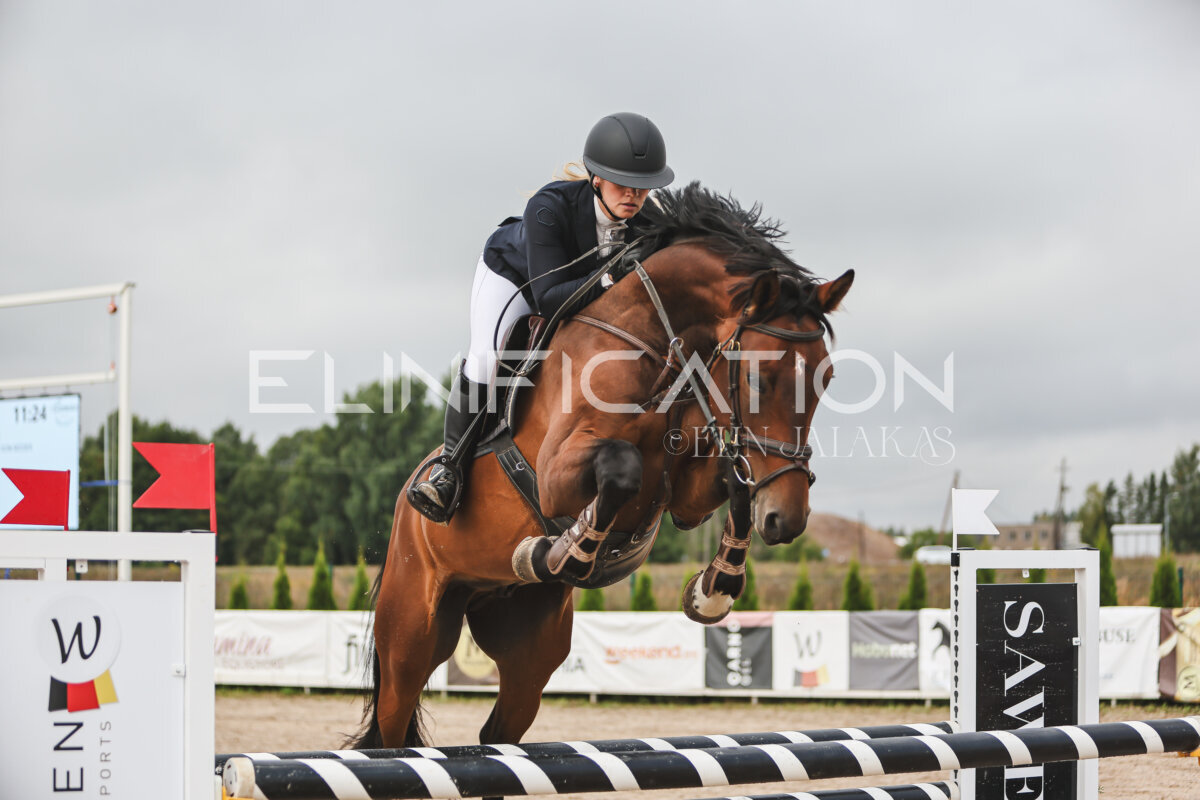 NHTS_2026_12_115cm_025