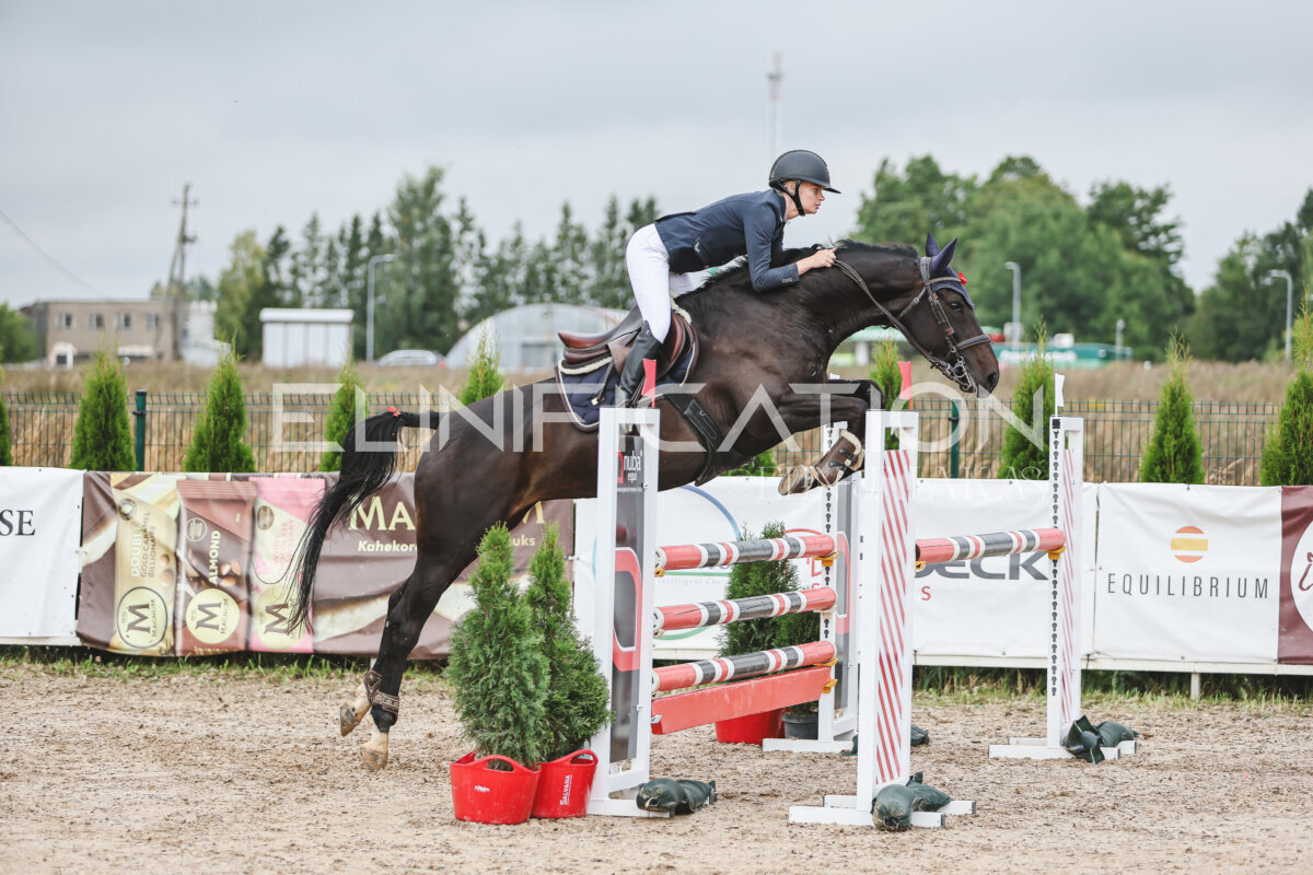 NHTS_2026_12_115cm_026