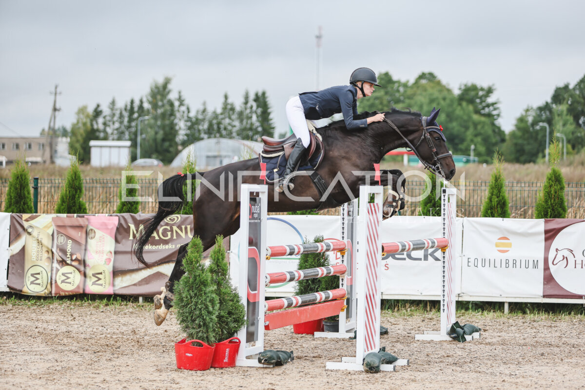 NHTS_2026_12_115cm_027