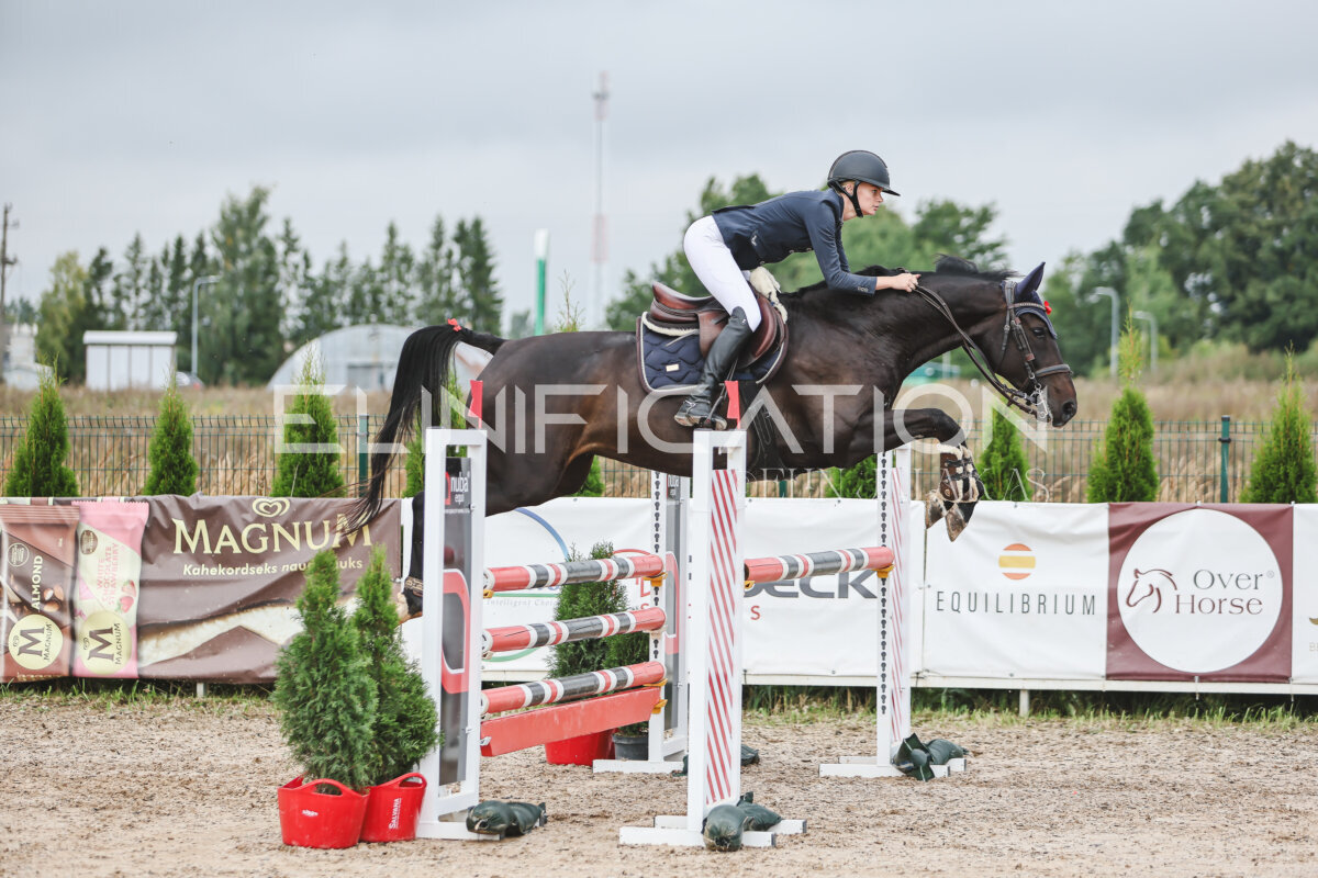 NHTS_2026_12_115cm_029