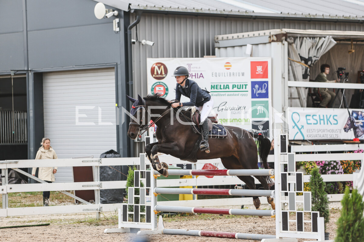 NHTS_2026_12_115cm_034